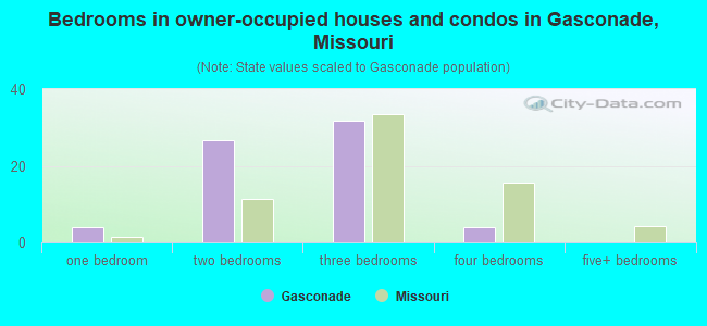 Bedrooms in owner-occupied houses and condos in Gasconade, Missouri