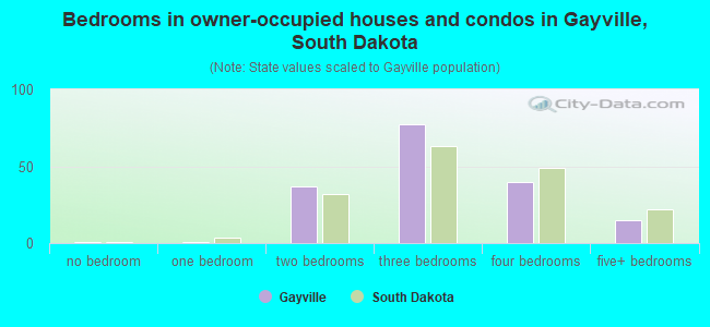 Bedrooms in owner-occupied houses and condos in Gayville, South Dakota