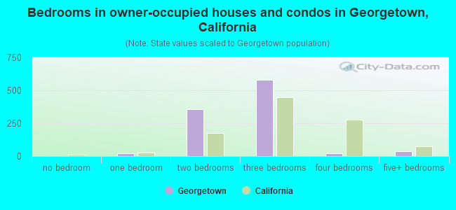 Bedrooms in owner-occupied houses and condos in Georgetown, California