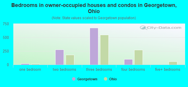 Bedrooms in owner-occupied houses and condos in Georgetown, Ohio