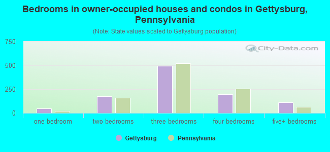 Bedrooms in owner-occupied houses and condos in Gettysburg, Pennsylvania