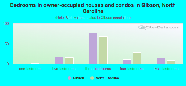 Bedrooms in owner-occupied houses and condos in Gibson, North Carolina