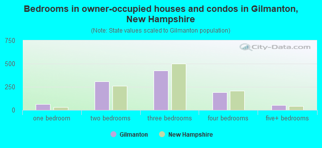 Bedrooms in owner-occupied houses and condos in Gilmanton, New Hampshire