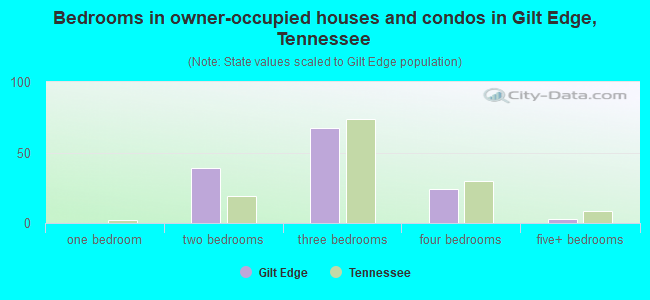 Bedrooms in owner-occupied houses and condos in Gilt Edge, Tennessee
