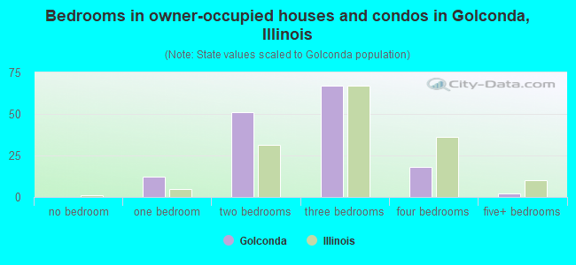 Bedrooms in owner-occupied houses and condos in Golconda, Illinois