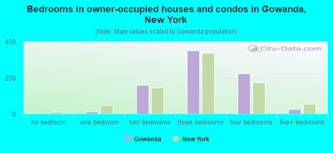 Bedrooms in owner-occupied houses and condos in Gowanda, New York