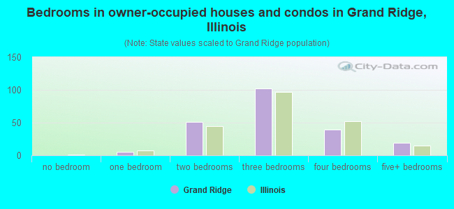 Bedrooms in owner-occupied houses and condos in Grand Ridge, Illinois