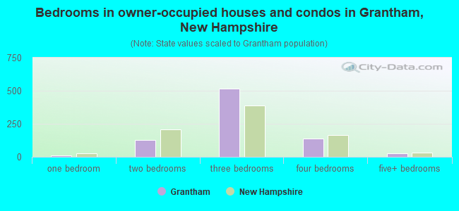 Bedrooms in owner-occupied houses and condos in Grantham, New Hampshire