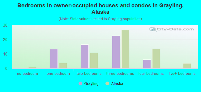 Bedrooms in owner-occupied houses and condos in Grayling, Alaska