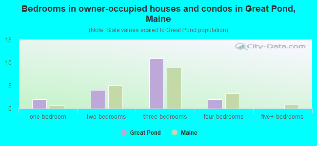 Bedrooms in owner-occupied houses and condos in Great Pond, Maine