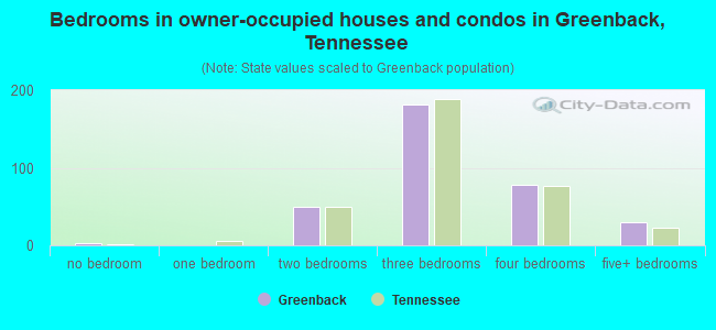 Bedrooms in owner-occupied houses and condos in Greenback, Tennessee