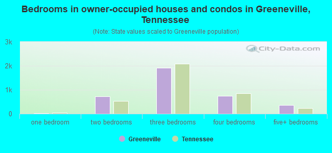 Bedrooms in owner-occupied houses and condos in Greeneville, Tennessee