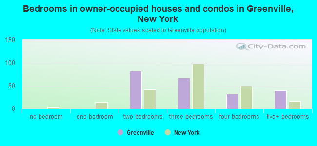Bedrooms in owner-occupied houses and condos in Greenville, New York