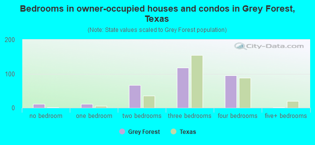 Bedrooms in owner-occupied houses and condos in Grey Forest, Texas
