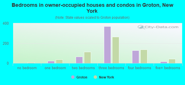 Bedrooms in owner-occupied houses and condos in Groton, New York