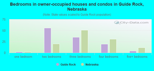 Bedrooms in owner-occupied houses and condos in Guide Rock, Nebraska