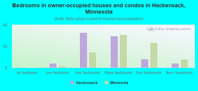 Bedrooms in owner-occupied houses and condos in Hackensack, Minnesota