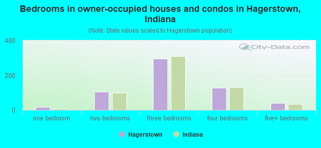 Bedrooms in owner-occupied houses and condos in Hagerstown, Indiana