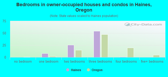Bedrooms in owner-occupied houses and condos in Haines, Oregon