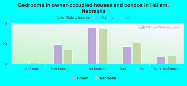Bedrooms in owner-occupied houses and condos in Hallam, Nebraska