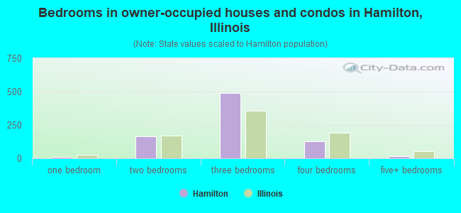 Bedrooms in owner-occupied houses and condos in Hamilton, Illinois