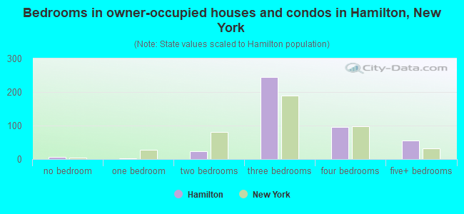 Bedrooms in owner-occupied houses and condos in Hamilton, New York