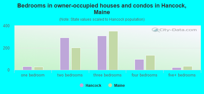 Bedrooms in owner-occupied houses and condos in Hancock, Maine