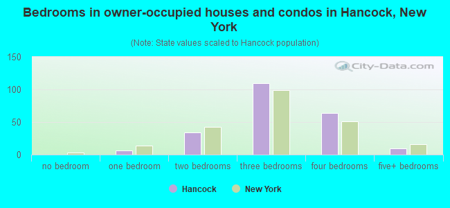 Bedrooms in owner-occupied houses and condos in Hancock, New York