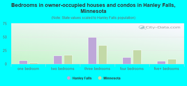 Bedrooms in owner-occupied houses and condos in Hanley Falls, Minnesota