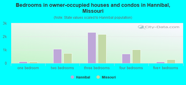 Bedrooms in owner-occupied houses and condos in Hannibal, Missouri