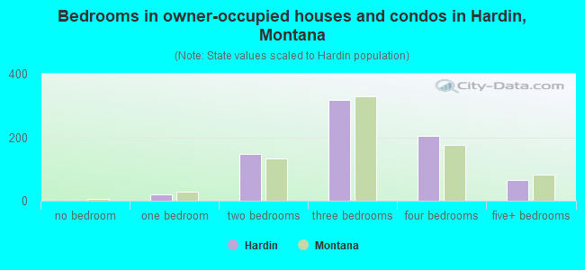Bedrooms in owner-occupied houses and condos in Hardin, Montana