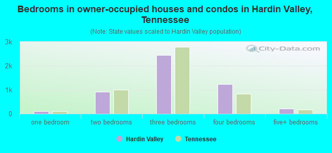 Bedrooms in owner-occupied houses and condos in Hardin Valley, Tennessee