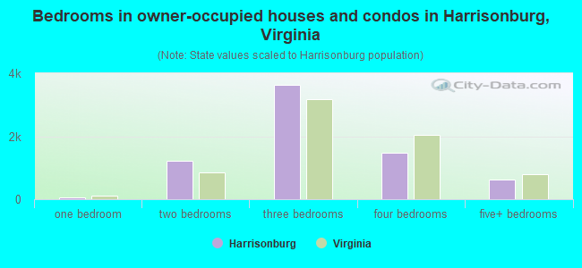 Bedrooms in owner-occupied houses and condos in Harrisonburg, Virginia