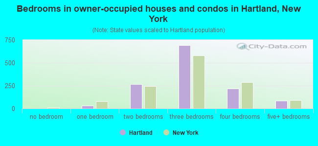 Bedrooms in owner-occupied houses and condos in Hartland, New York