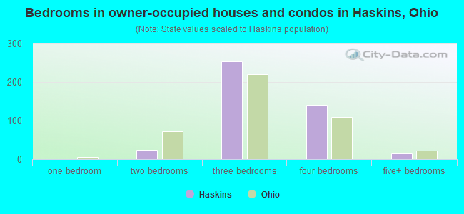 Bedrooms in owner-occupied houses and condos in Haskins, Ohio