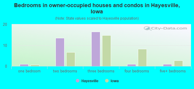 Bedrooms in owner-occupied houses and condos in Hayesville, Iowa
