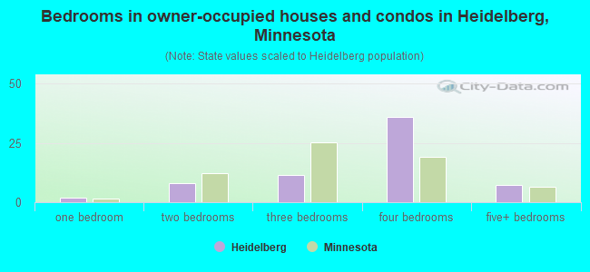 Bedrooms in owner-occupied houses and condos in Heidelberg, Minnesota