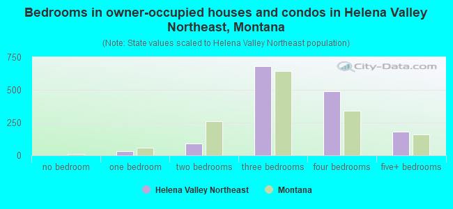 Bedrooms in owner-occupied houses and condos in Helena Valley Northeast, Montana