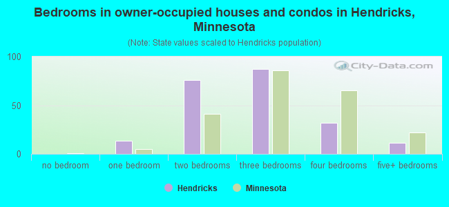 Bedrooms in owner-occupied houses and condos in Hendricks, Minnesota