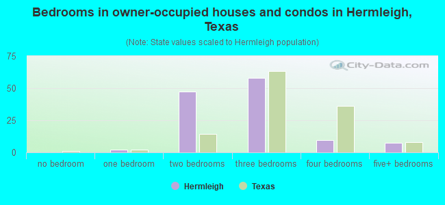 Bedrooms in owner-occupied houses and condos in Hermleigh, Texas
