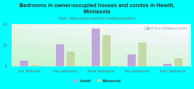 Bedrooms in owner-occupied houses and condos in Hewitt, Minnesota