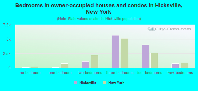 Bedrooms in owner-occupied houses and condos in Hicksville, New York