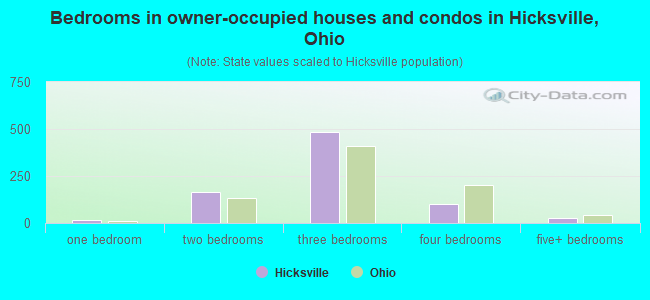 Bedrooms in owner-occupied houses and condos in Hicksville, Ohio