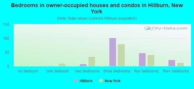 Bedrooms in owner-occupied houses and condos in Hillburn, New York