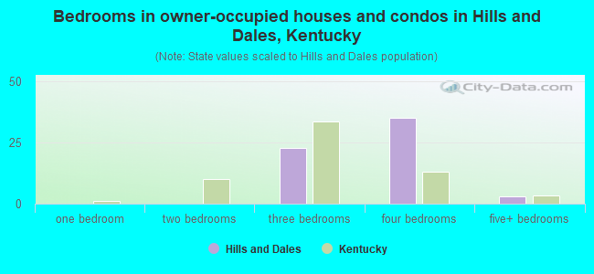 Bedrooms in owner-occupied houses and condos in Hills and Dales, Kentucky