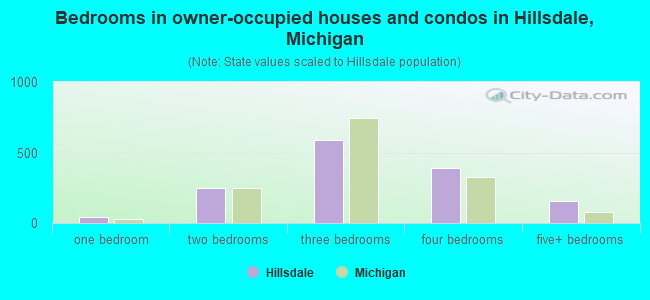 Bedrooms in owner-occupied houses and condos in Hillsdale, Michigan