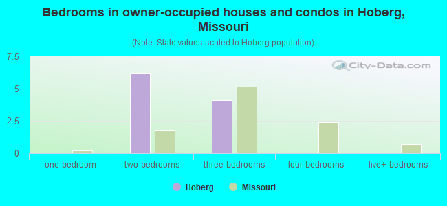 Bedrooms in owner-occupied houses and condos in Hoberg, Missouri