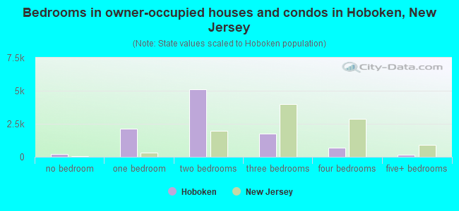 Bedrooms in owner-occupied houses and condos in Hoboken, New Jersey