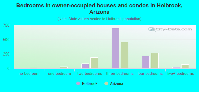 Bedrooms in owner-occupied houses and condos in Holbrook, Arizona