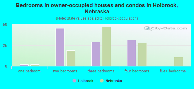 Bedrooms in owner-occupied houses and condos in Holbrook, Nebraska